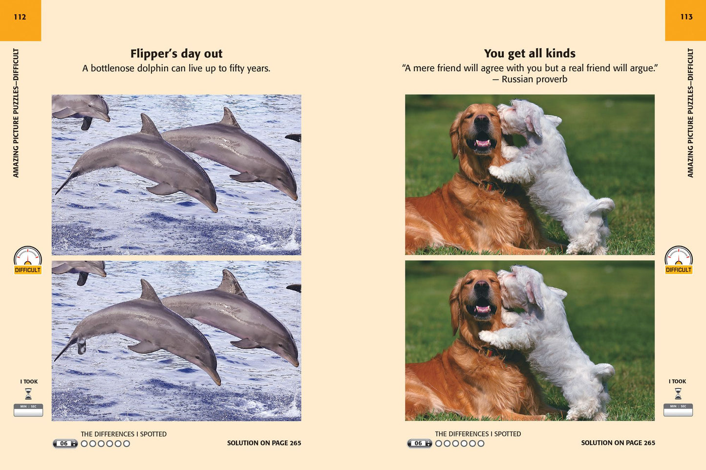 Amazing Picture Puzzles