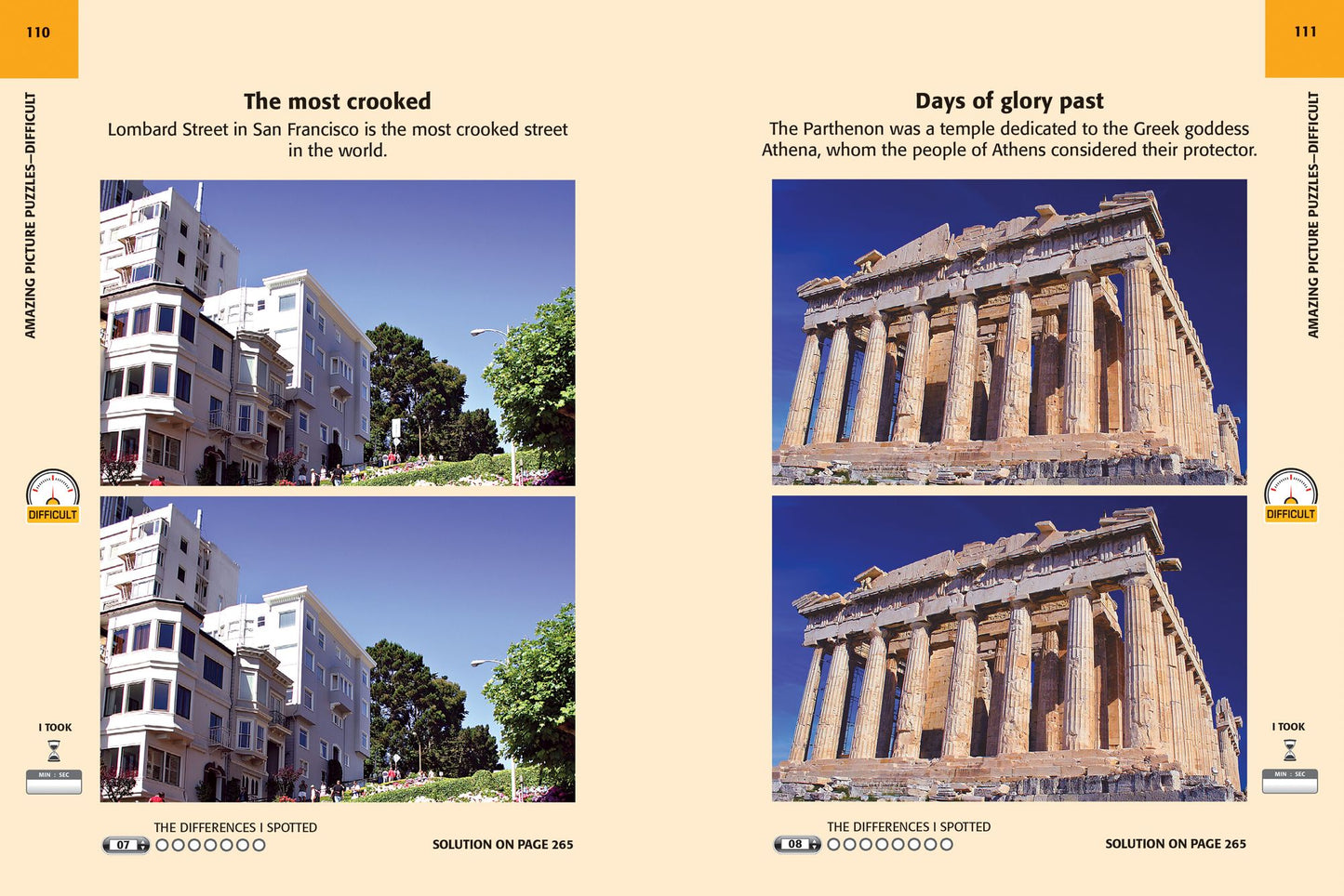 Amazing Picture Puzzles