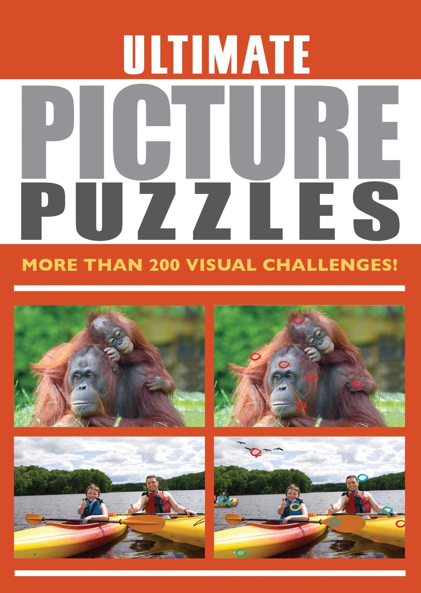 Ultimate Picture Puzzles