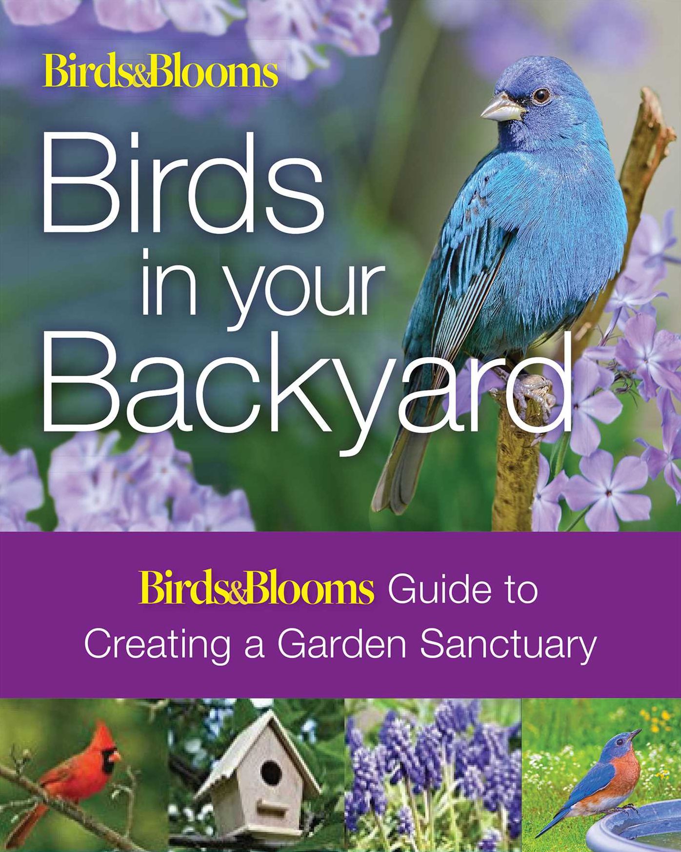 Birds & Blooms: Birds in Your Backyard