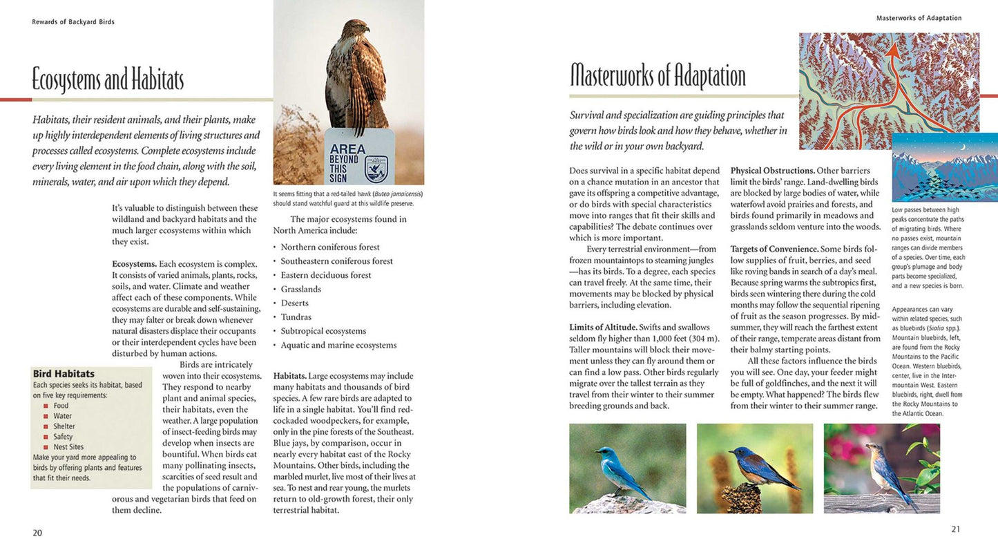 Birds & Blooms: Birds in Your Backyard
