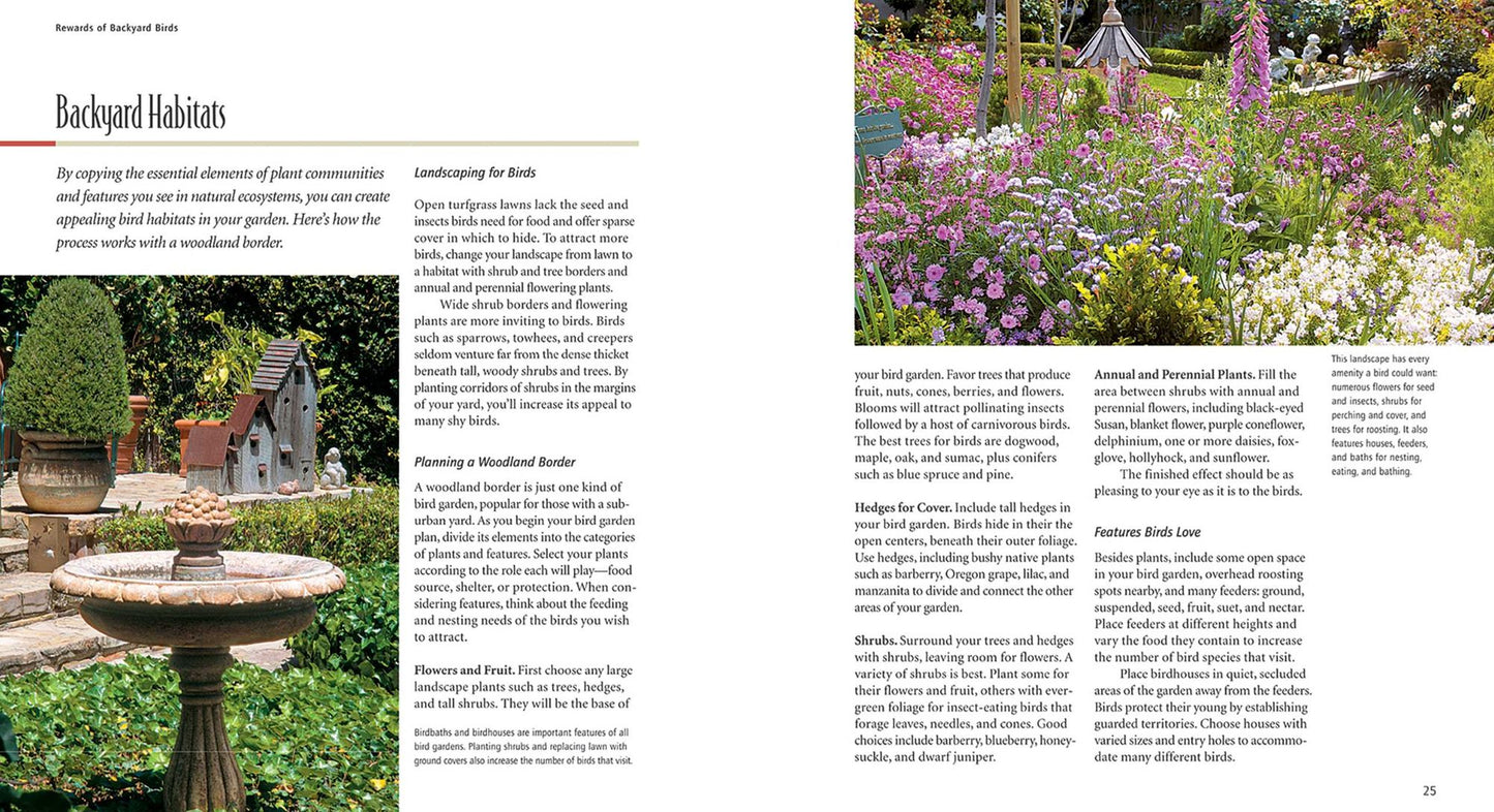 Birds & Blooms: Birds in Your Backyard