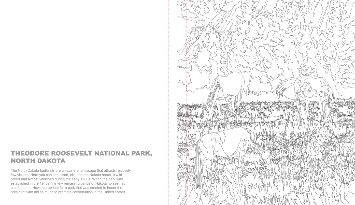 Ultimate Coloring National Parks