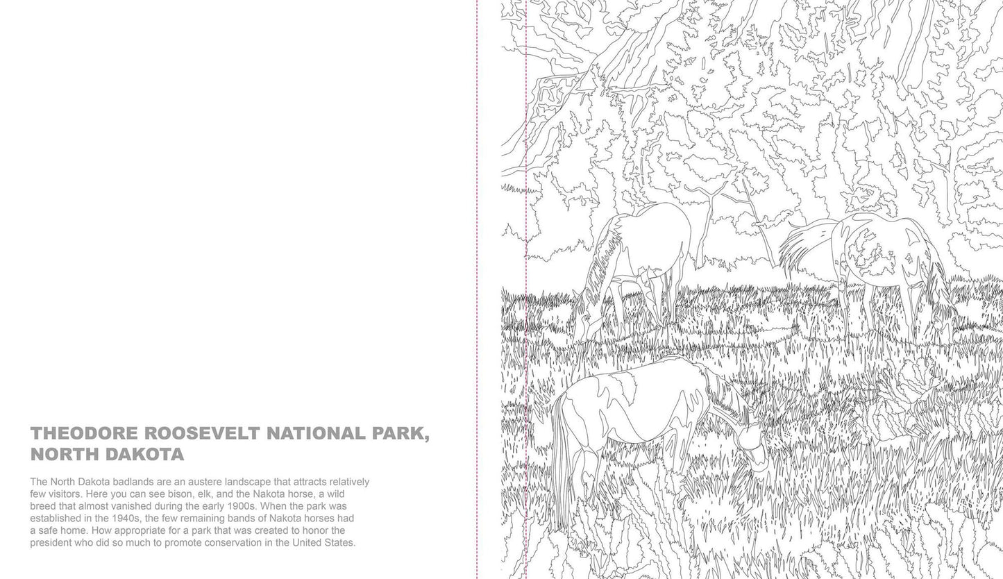 Ultimate Coloring National Parks