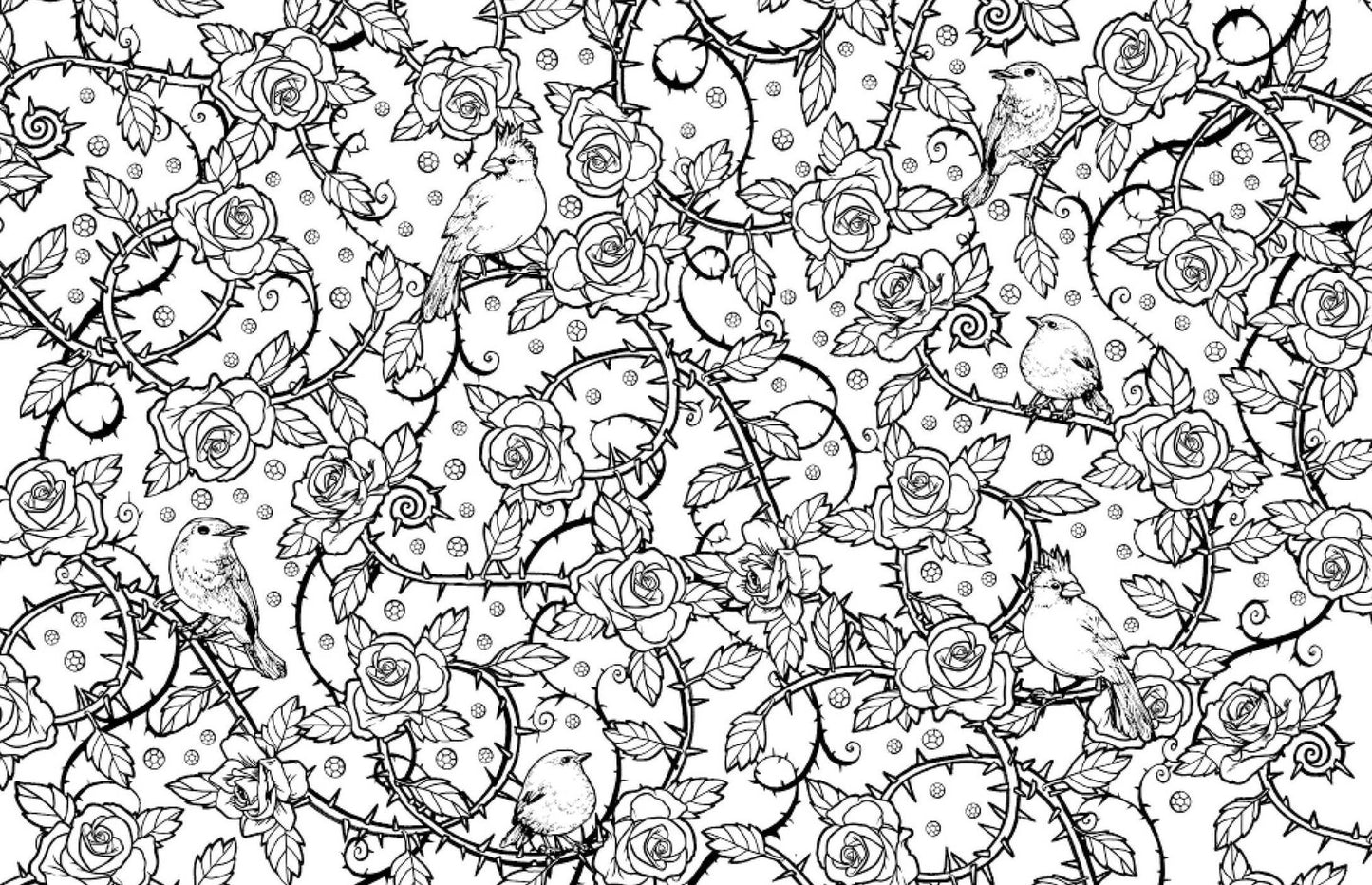 Beauty and the Beast: A Coloring Book