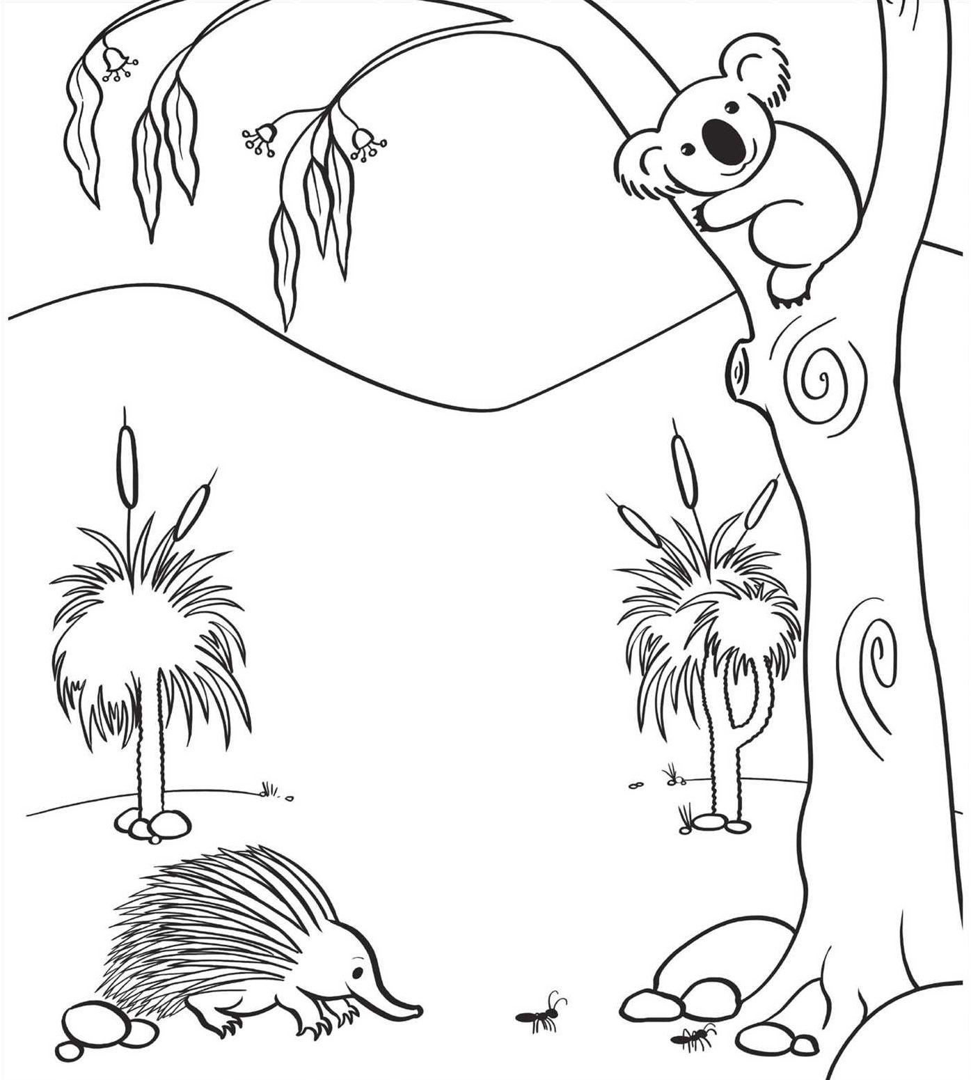 My First Learn to Draw: Animals