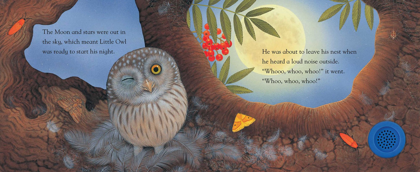 Little Owl and the Noisy Night