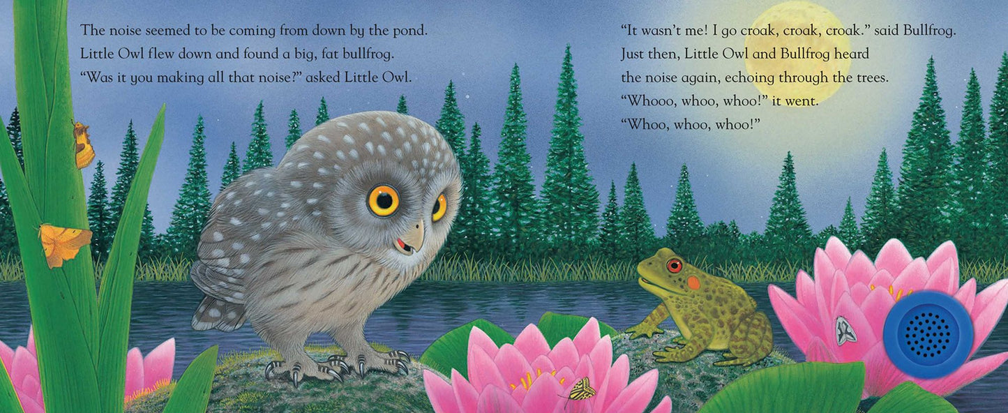 Little Owl and the Noisy Night