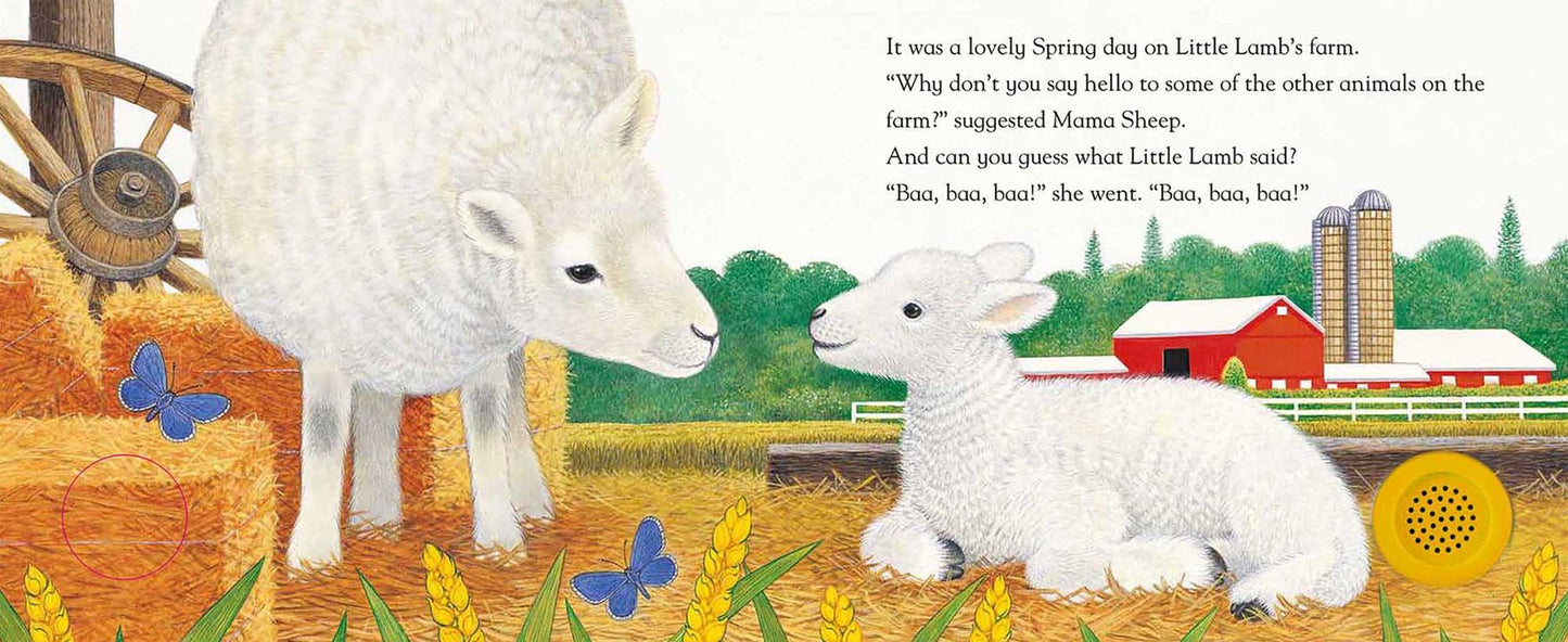 Little Lamb's New Friends