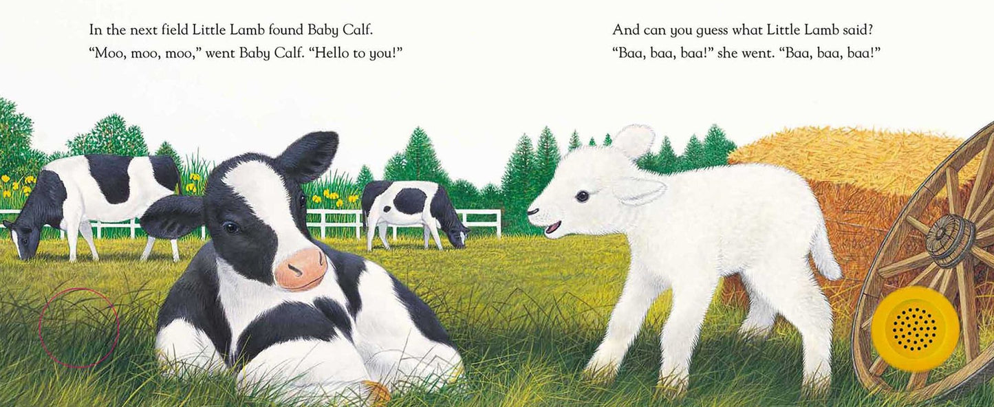 Little Lamb's New Friends