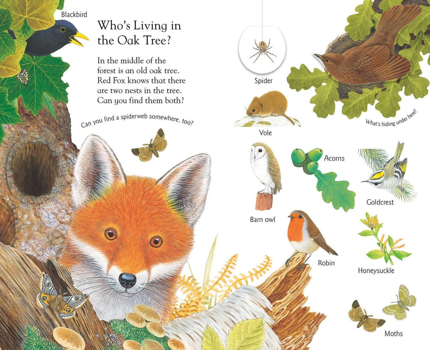 Lift and Learn: In the Forest