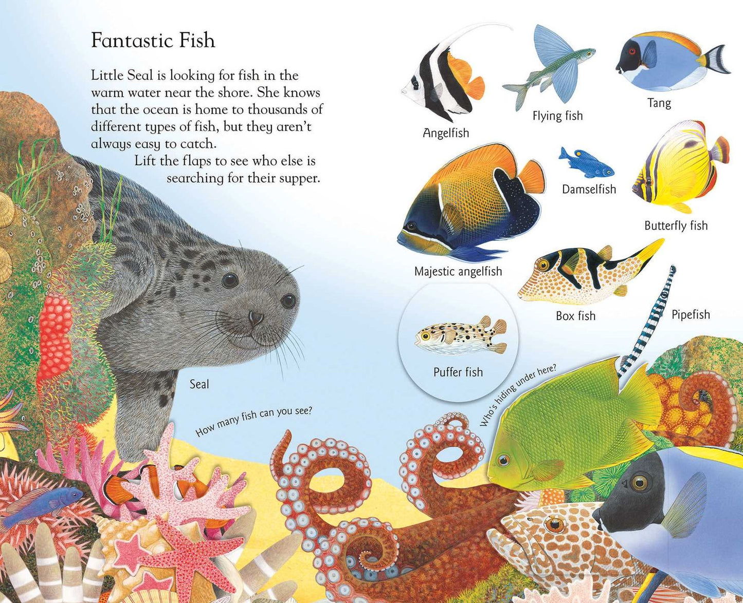 Lift and Learn: In the Ocean