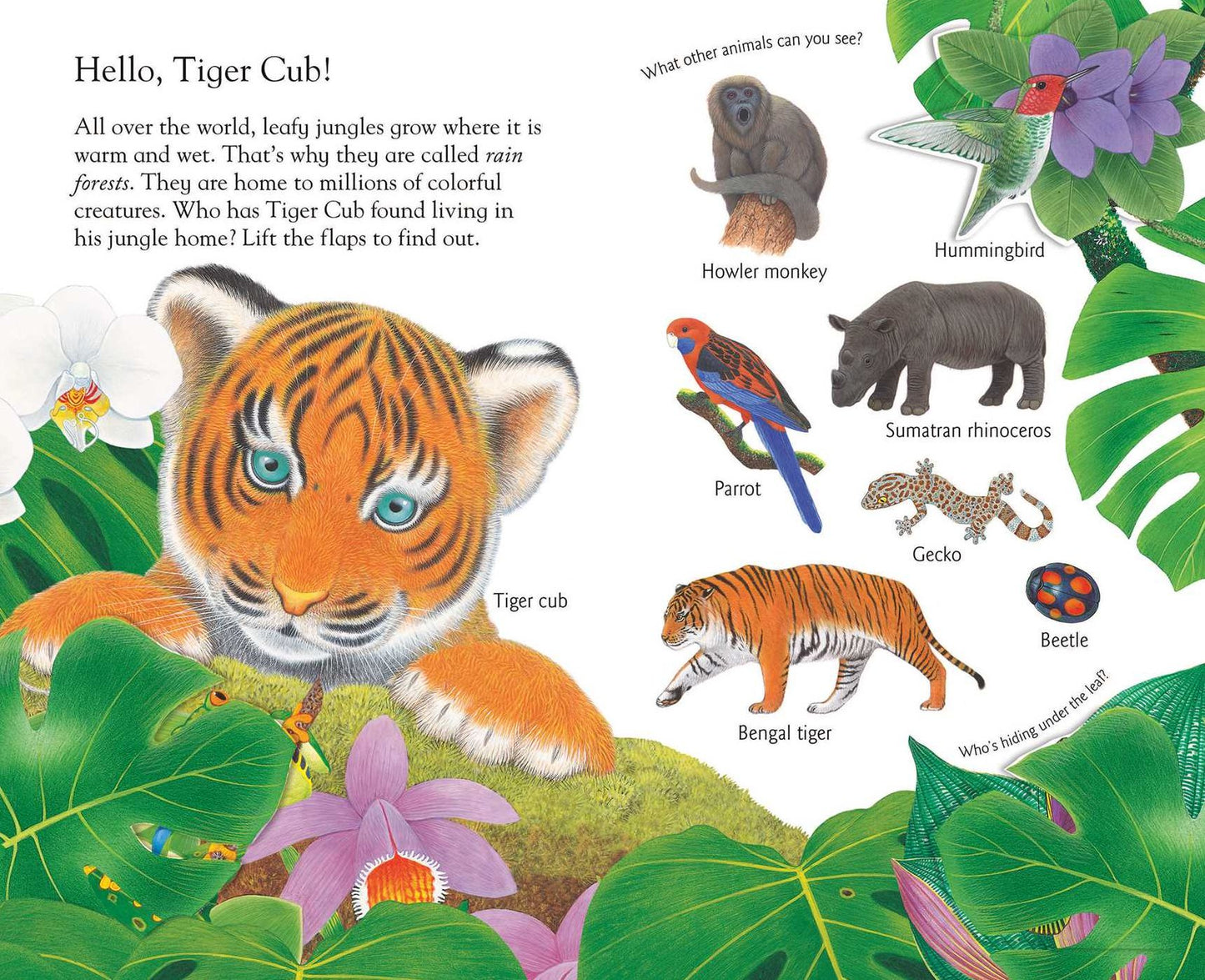 Lift and Learn: In the Jungle