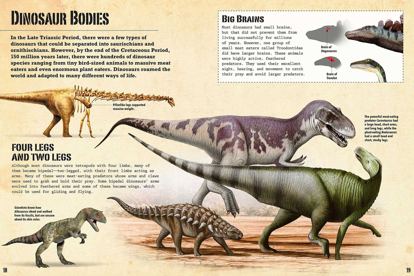 Trailblazers: Dinosaur Explorers