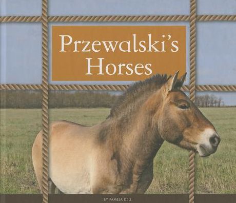 Przewalski's Horses