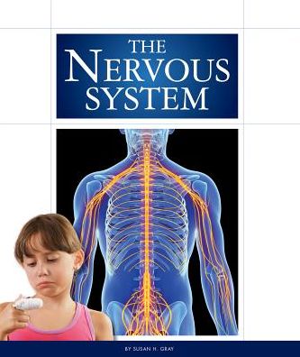 The Nervous System