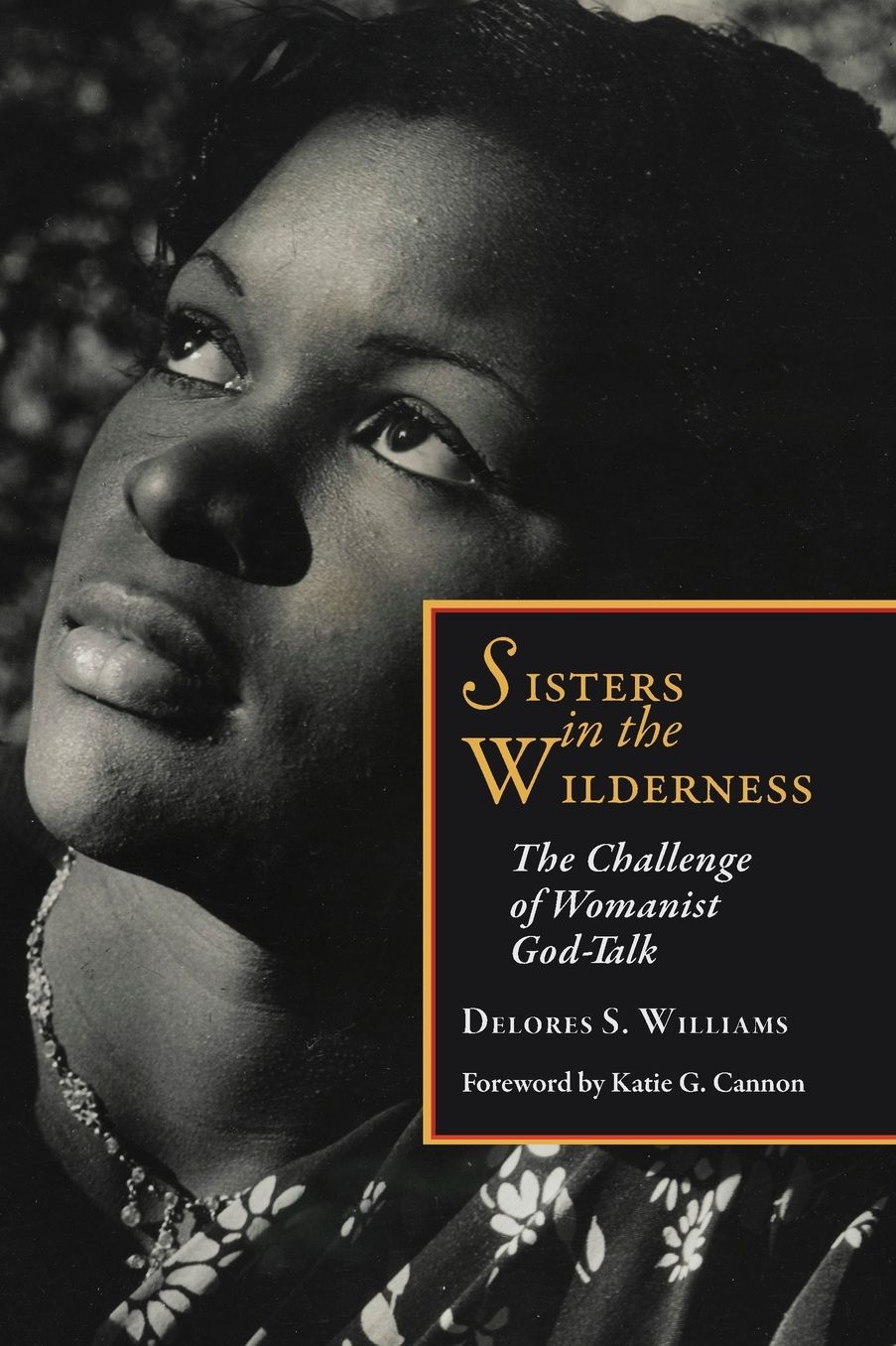 Sisters in the Wilderness: The Challenge of Womanist God-Talk