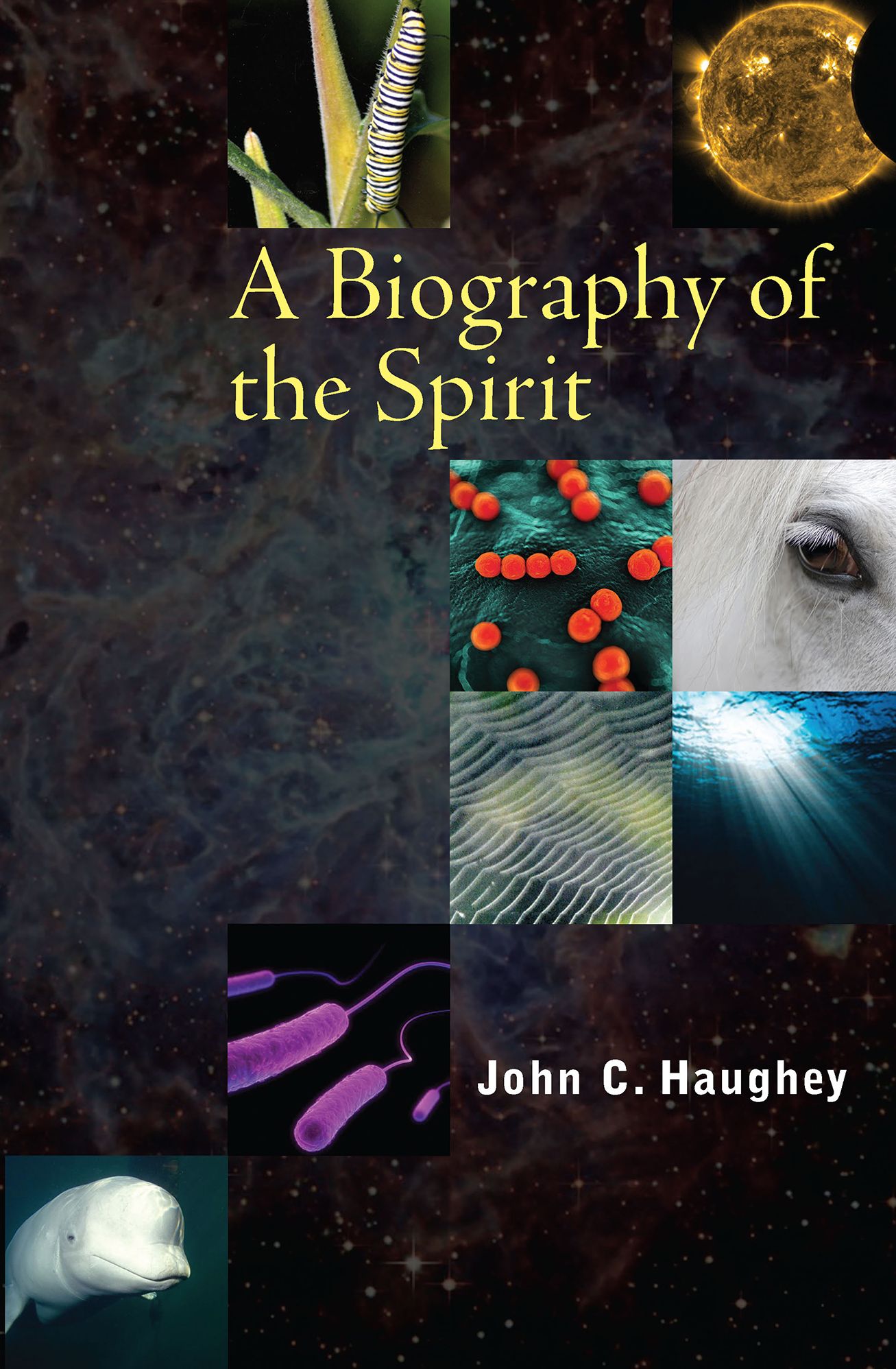 A Biography of the Spirit