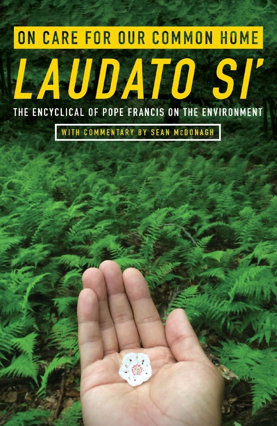 On Care for Our Common Home, Laudato Si': The Encyclical of Pope Francis on the Environment with Commentary by Sean McDonagh