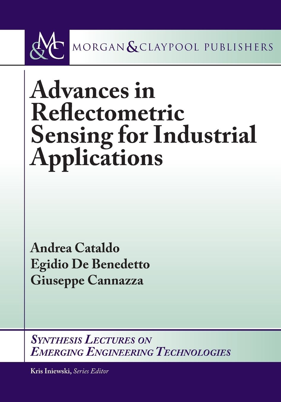 Advances in Reflectometric Sensing for Industrial Applications