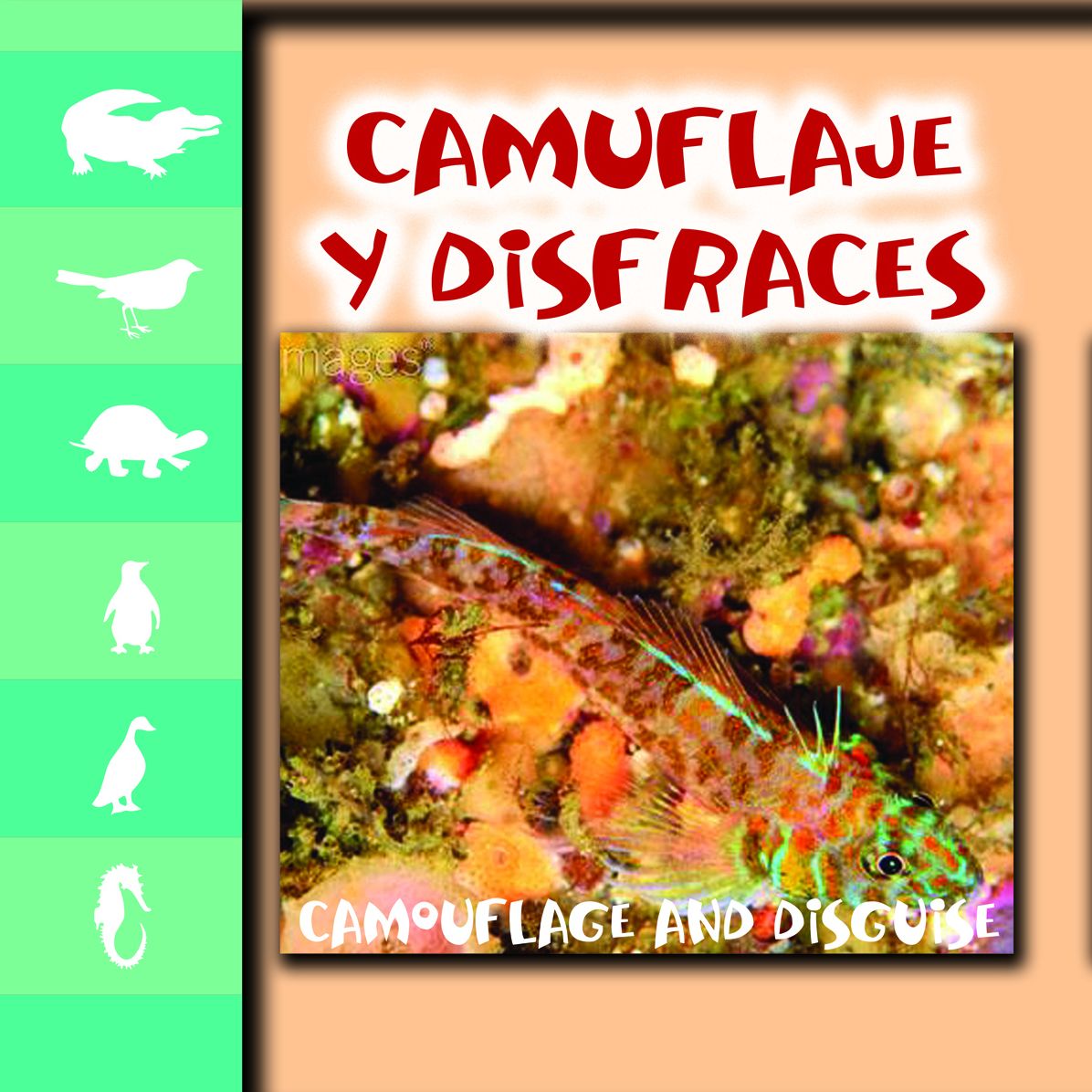 Camuflaje Y Disfraz: Camouflage and Disguise