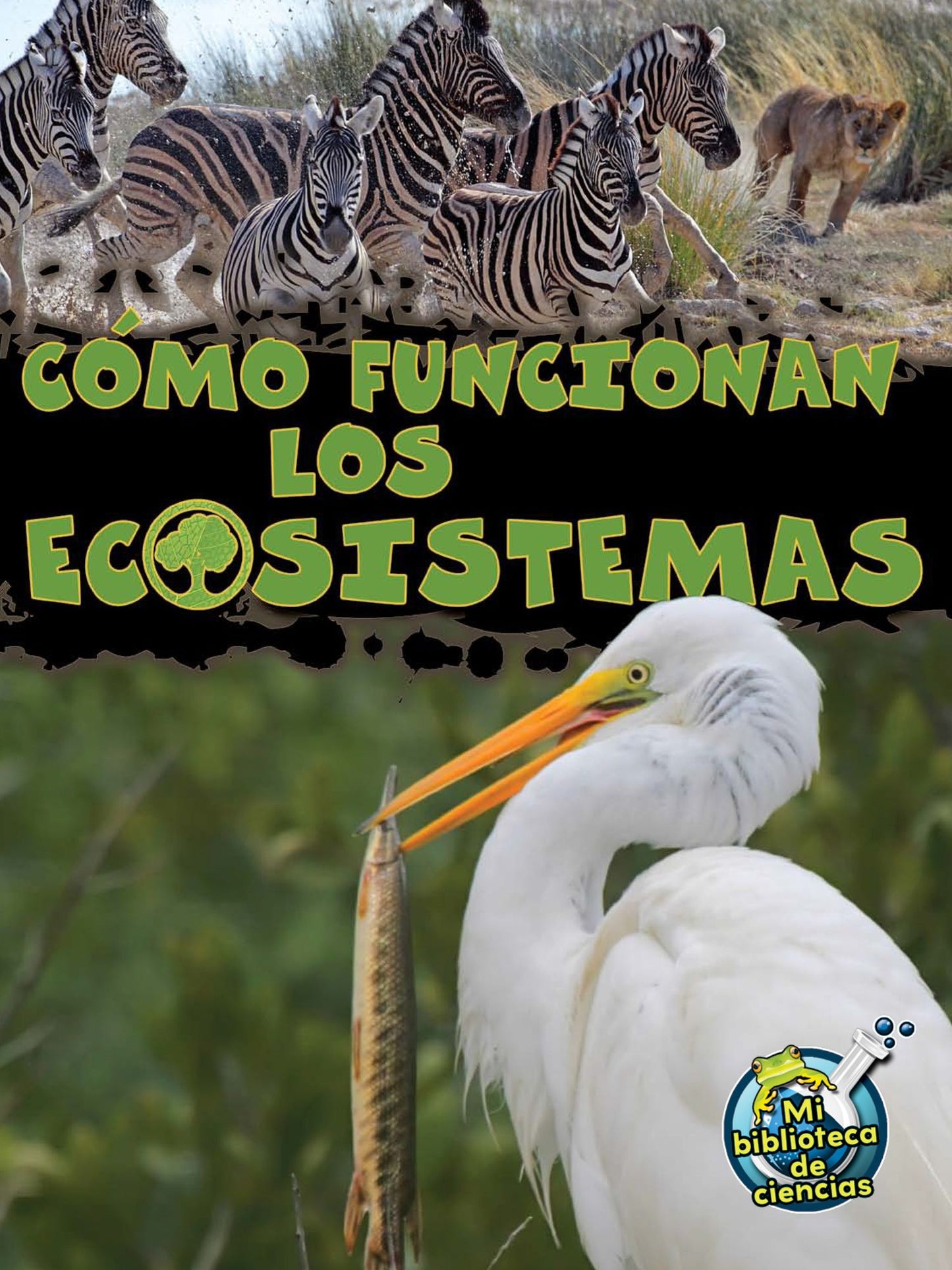 Cï¿½mo Funcionan Los Ecosistemas: How Ecosystems Work