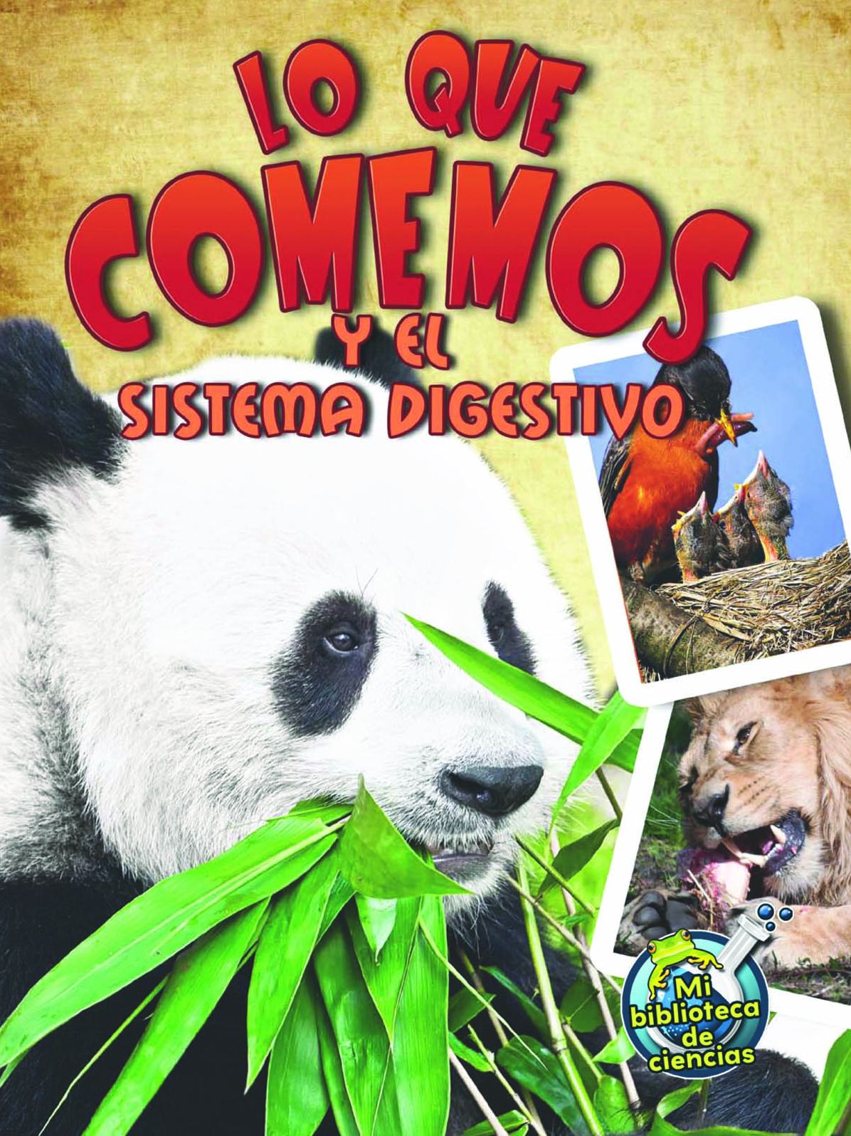 Lo Que Comemos Y El Sistema Digestivo: Eating and the Digestive System