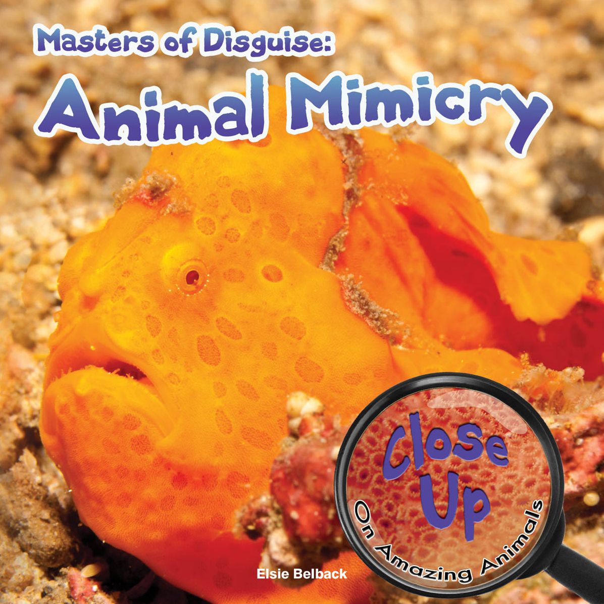 Masters of Disguise: Animal Mimicry