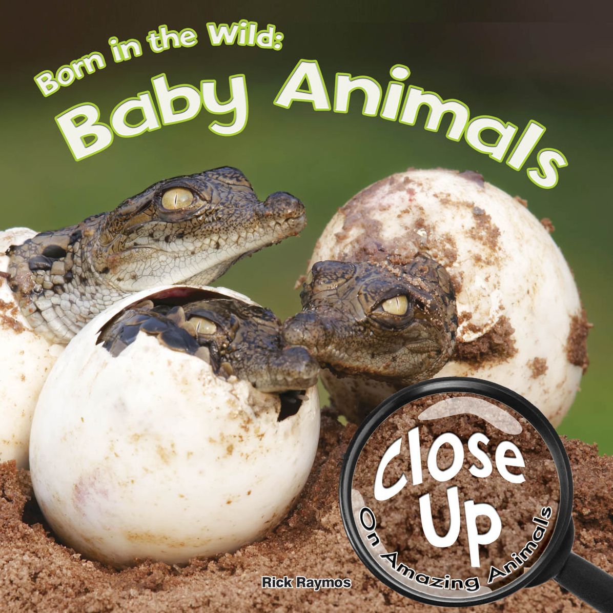 Born in the Wild: Baby Animals
