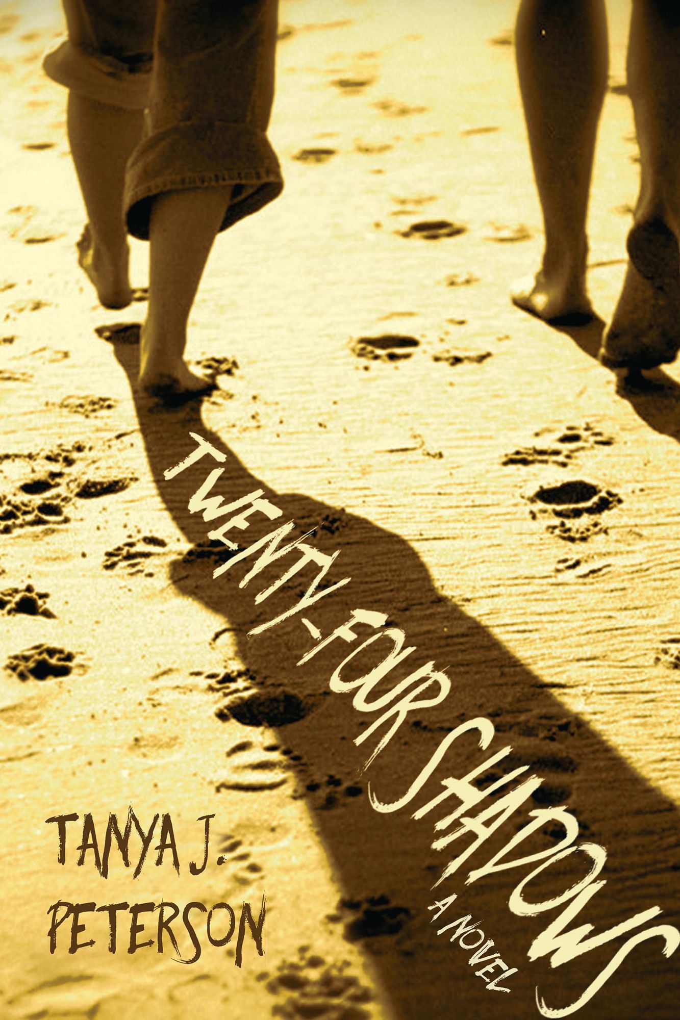 Twenty-Four Shadows: A Novel