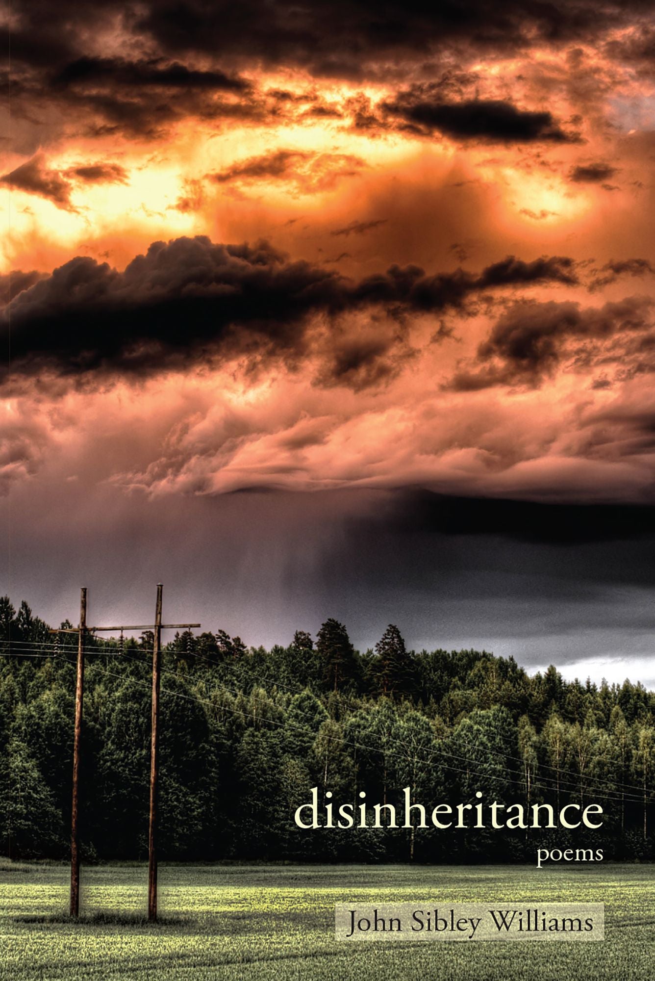Disinheritance: poems