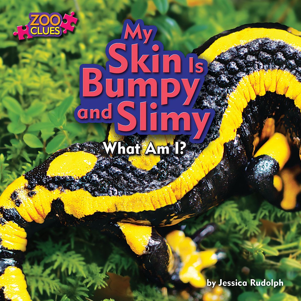My Skin Is Bumpy and Slimy