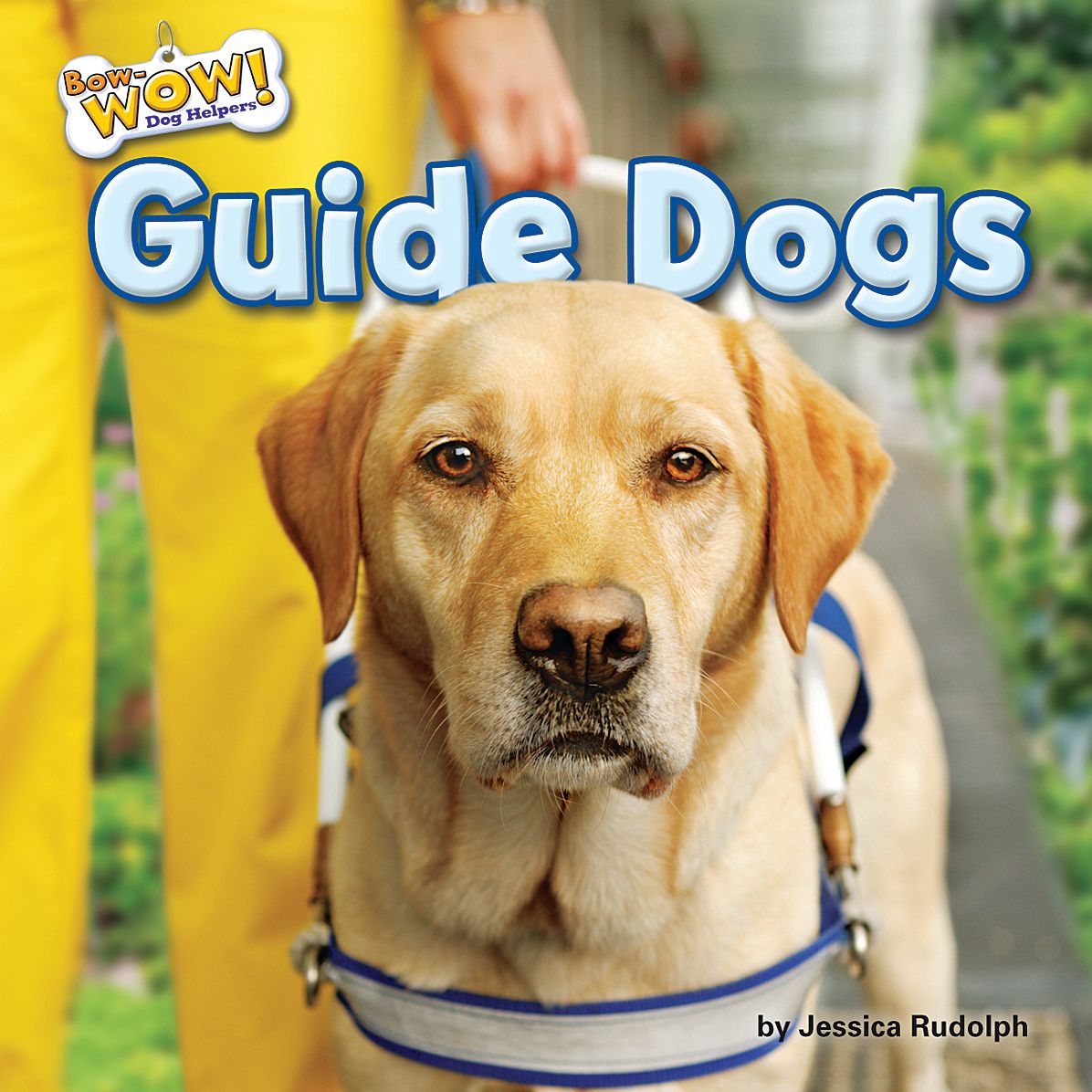 Guide Dogs