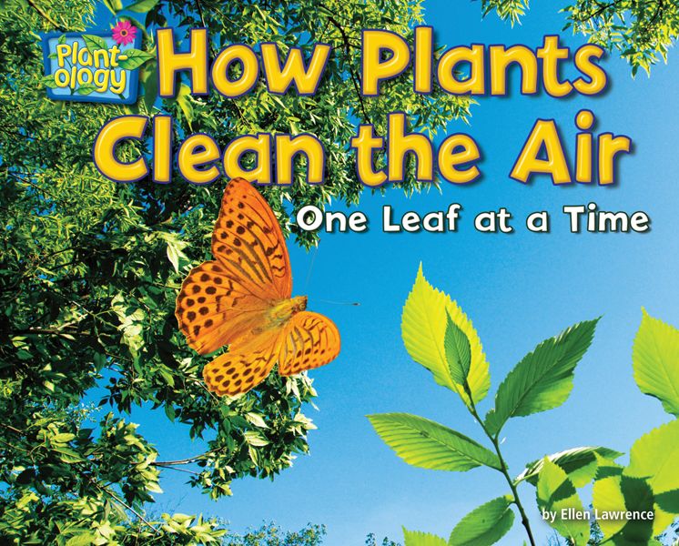 How Plants Clean the Air: One Leaf at a Time