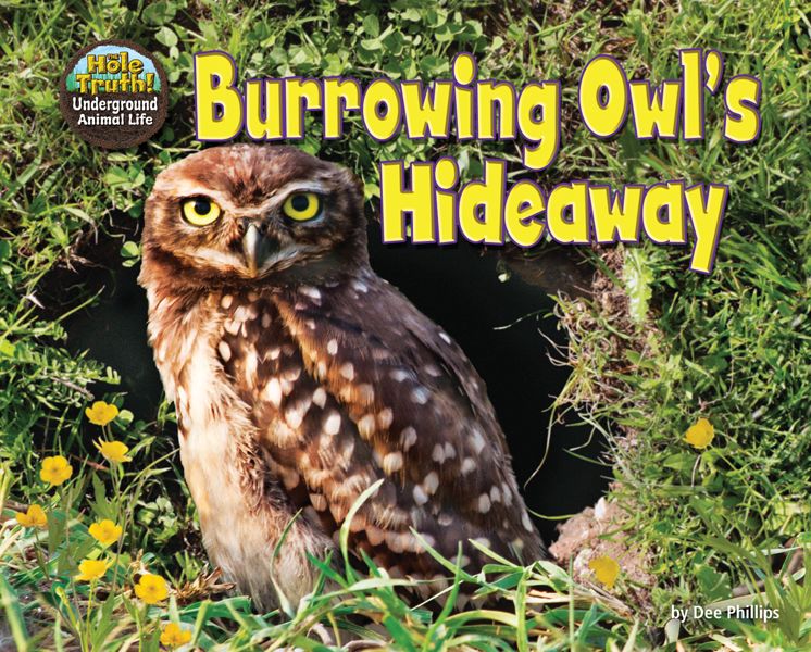 Burrowing Owl's Hideaway