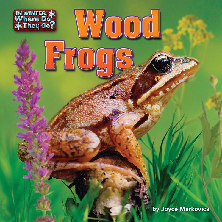 Wood Frogs
