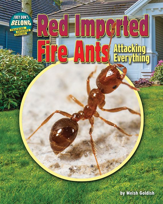 Red Imported Fire Ants : Attacking Everything
