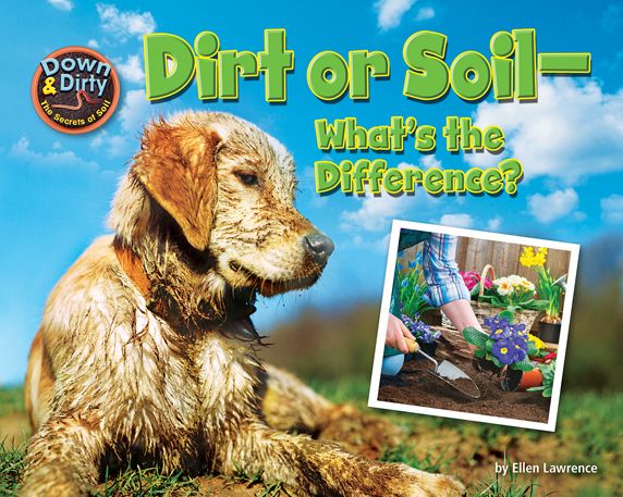 Dirt or Soil : What's the Difference?