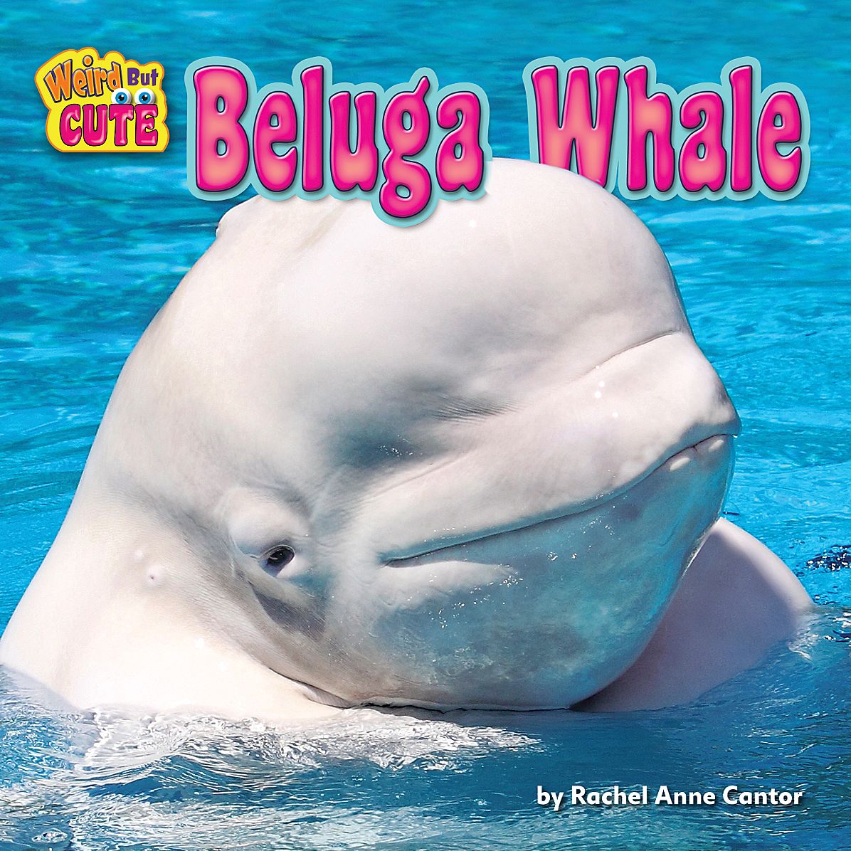 Beluga Whale