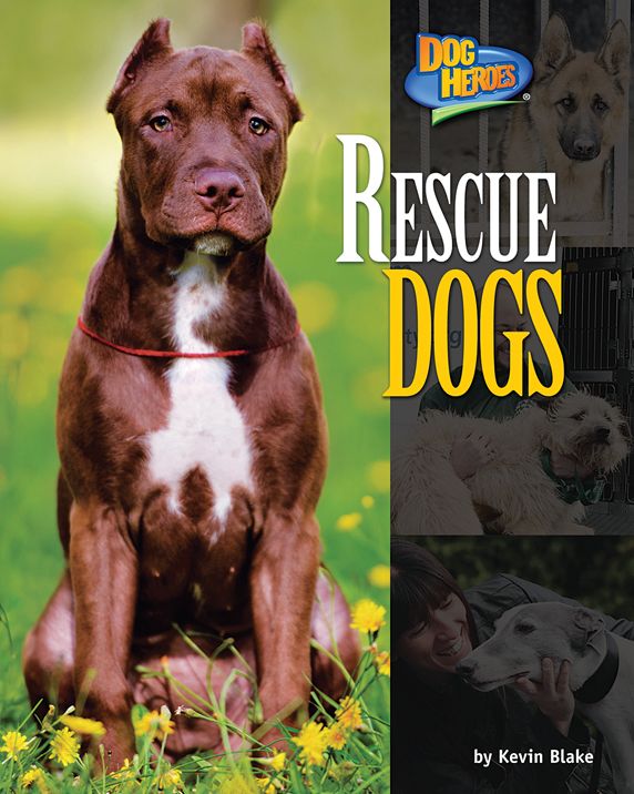 Rescue Dogs