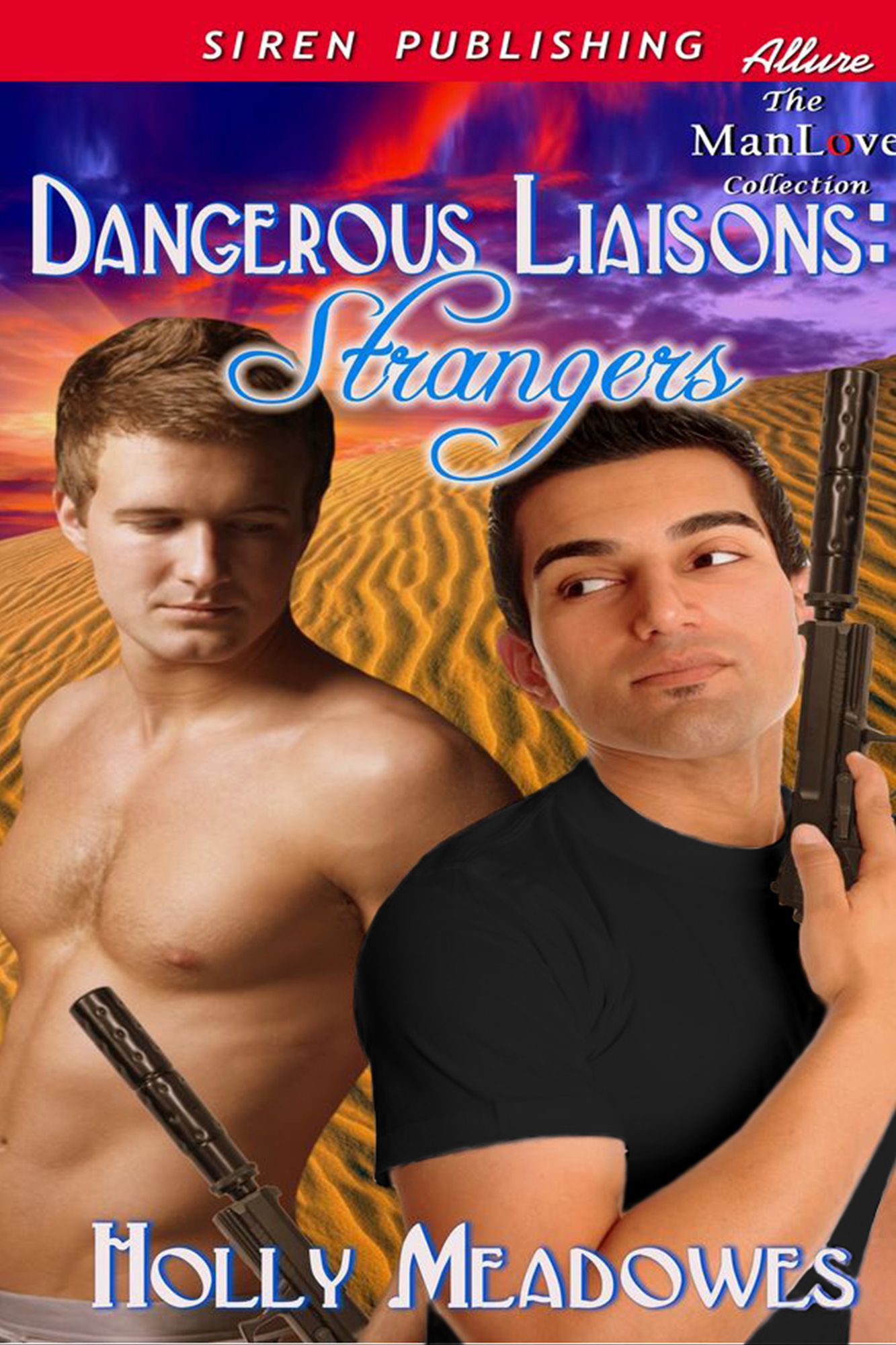 Dangerous Liaisons: Strangers (Siren Publishing Allure ManLove)