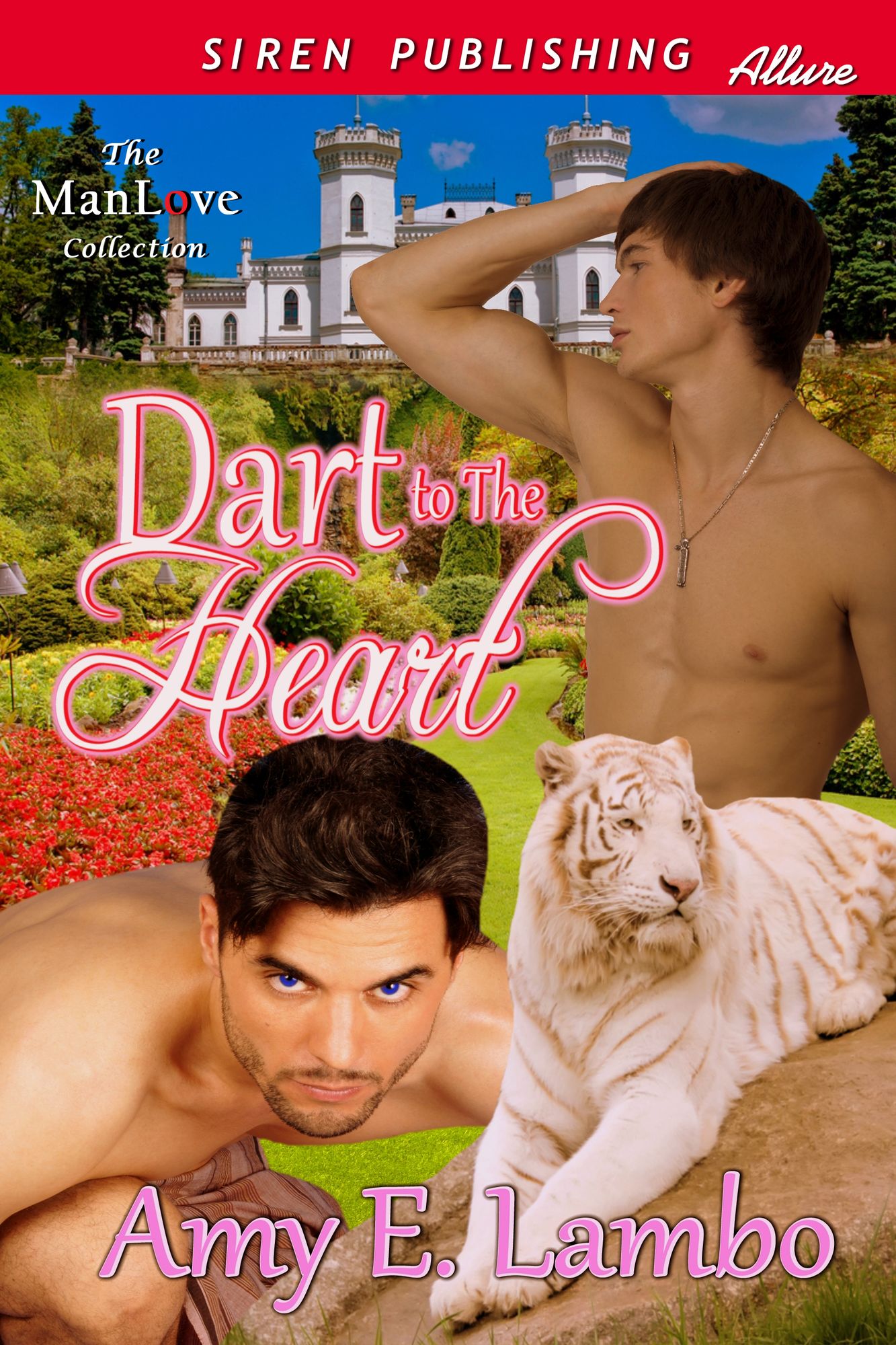 Dart to the Heart (Siren Publishing Allure ManLove)
