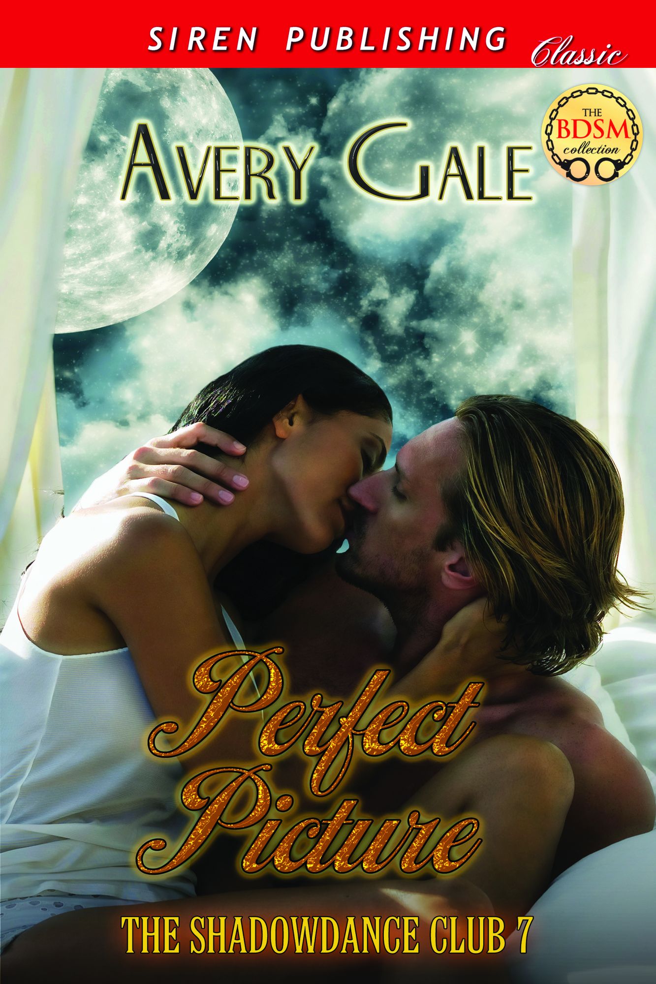 Perfect Picture [The ShadowDance Club 7] (Siren Publishing Classic)