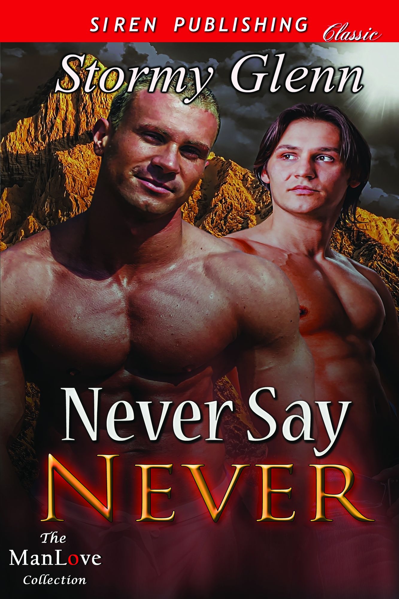 Never Say Never [Aberdeen Pack 3] (Siren Publishing Classic ManLove)