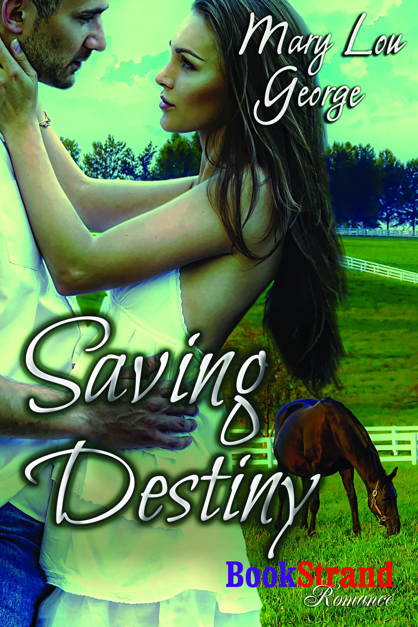 Saving Destiny (BookStrand Publishing Mainstream)