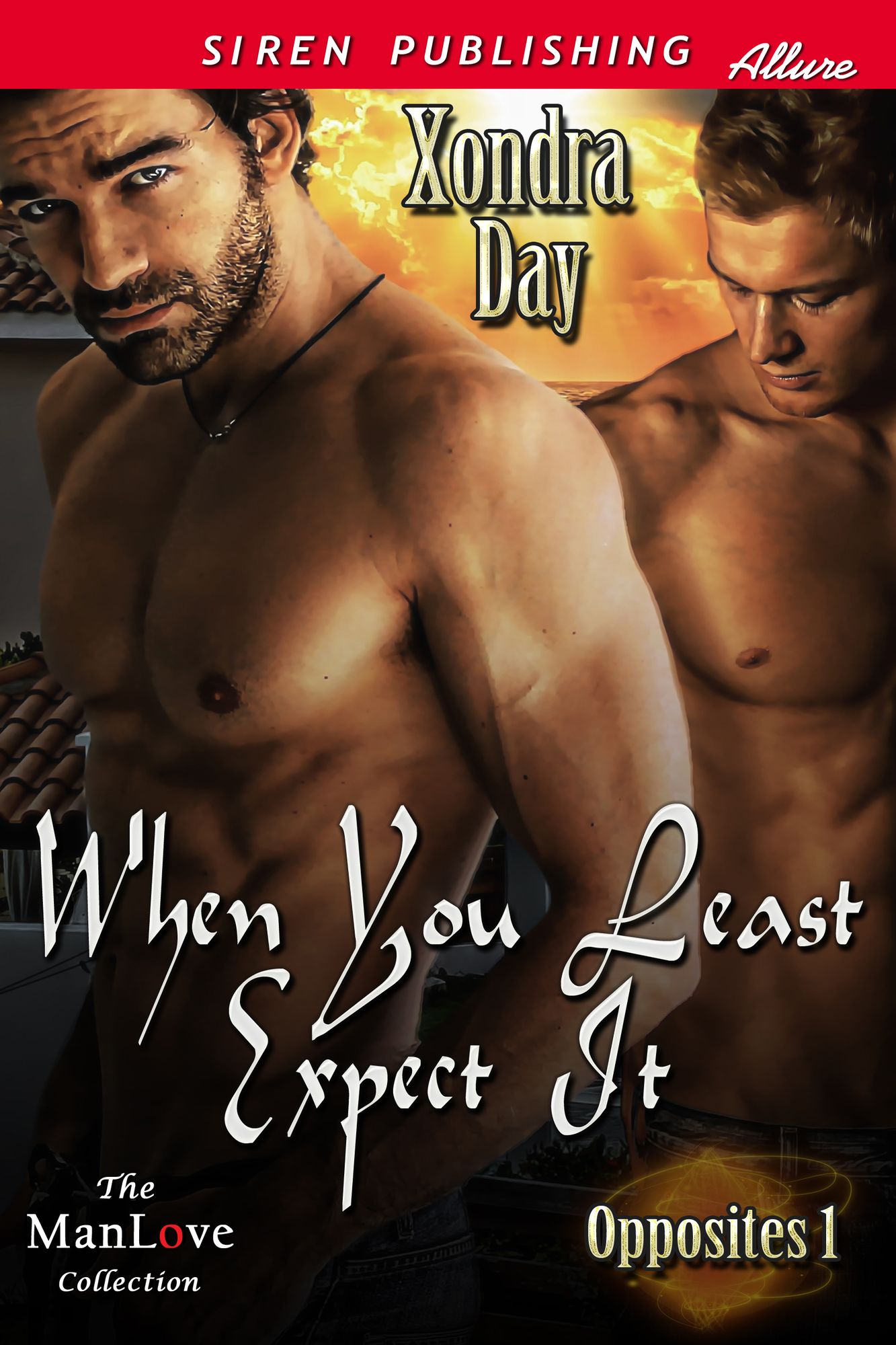 When You Least Expect It [Opposites 1] (Siren Publishing Allure ManLove)