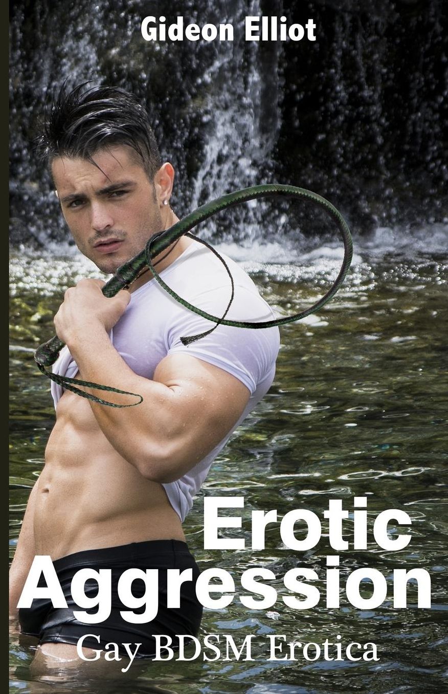 Erotic Aggression: Gay BDSM Erotica