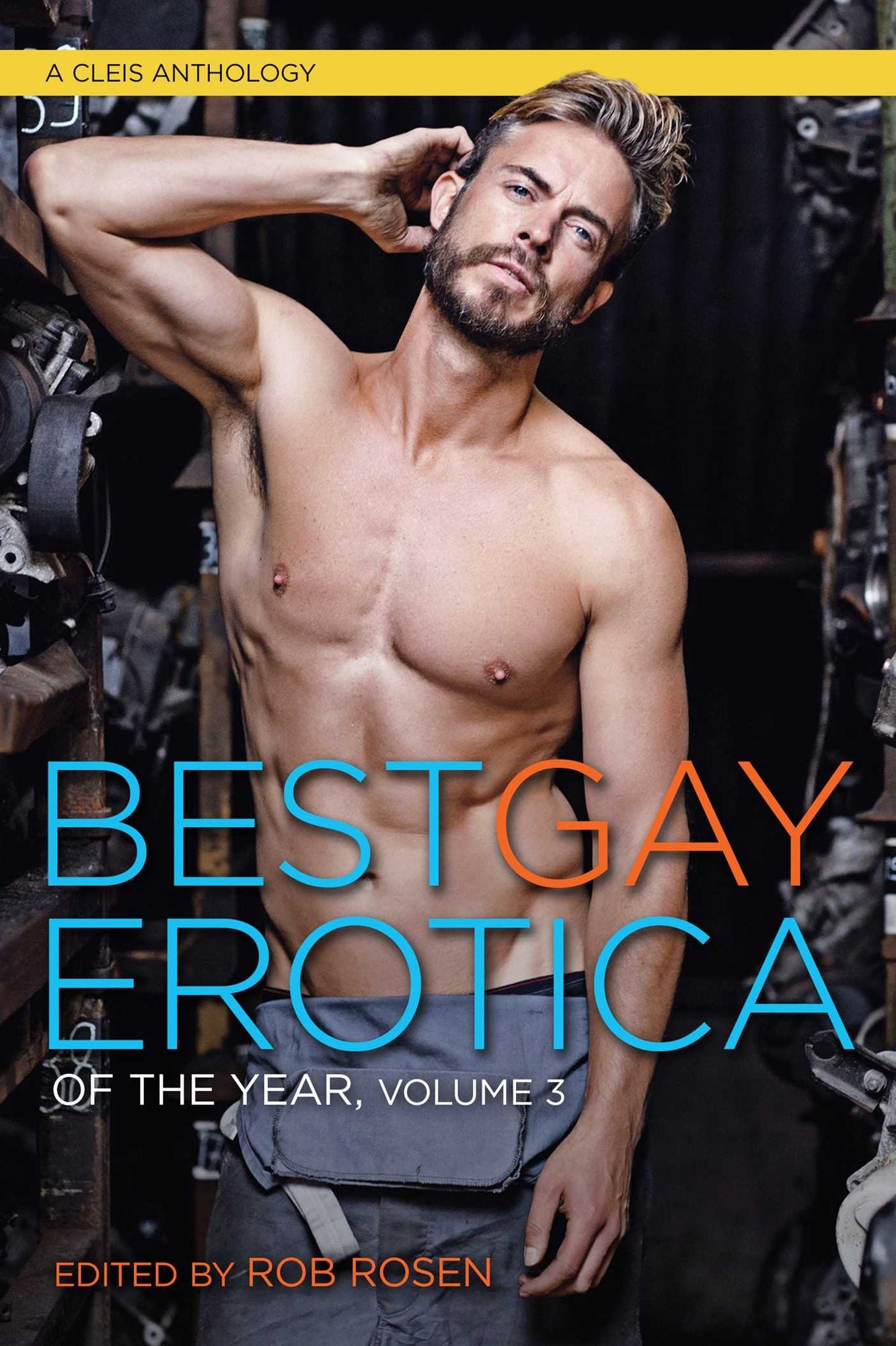 Best Gay Erotica of the Year, Volume 3
