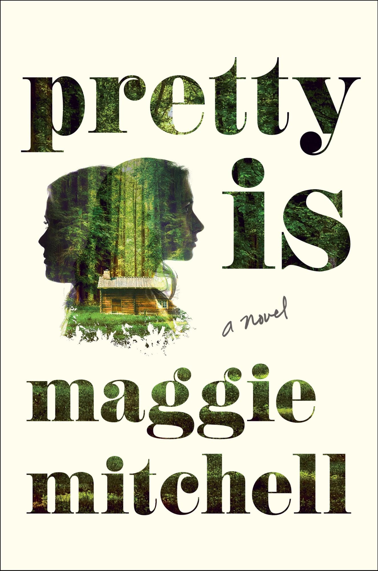 Pretty Is: A Novel