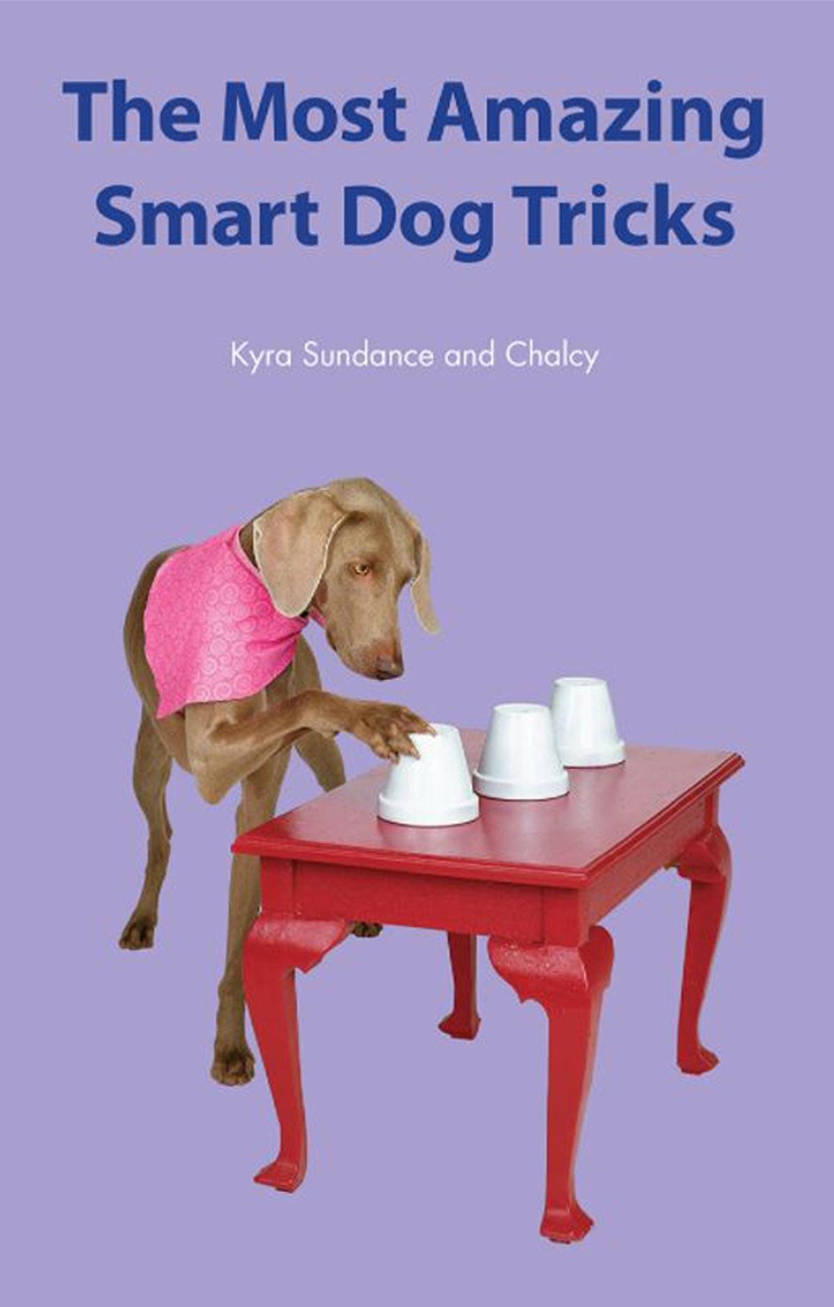 The Most Amazing Smart Dog Tricks